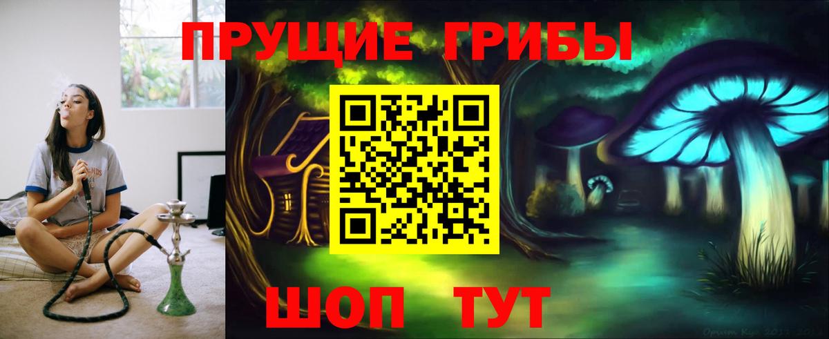 Киржач  Псилоцибиновые грибы прущие грибы  Галлюциногенные грибы GOLDEN TEACHER  Вход с VPN 